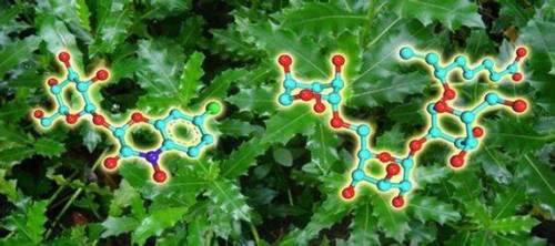 QQ图片20180505151017.jpg QQ图片20180505151017.jpg